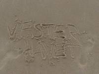 limfjorden-aug-2009_018