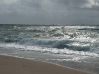 limfjorden-aug-2009_019