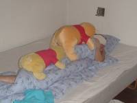 limfjorden-aug-2009_023