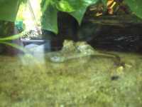2010-08-09-ds-digicam-032