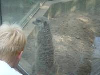 2010: Opel Zoo (Bilder von Jaqueline)