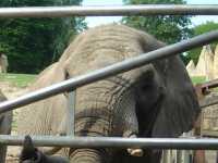 2010-08-09-opel-zoo-025