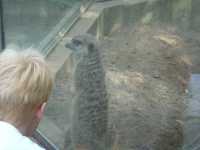 2010-08-09-opel-zoo-027