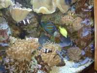 2010-08-09-opel-zoo-061