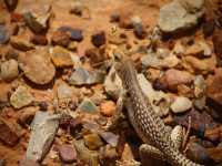 02-valley-of-fire-172