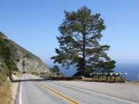 07-highway-1-227-big-sur