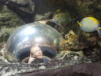 Wien Haus des Meeres