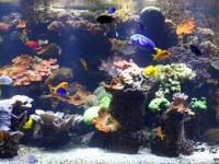 Wien Haus des Meeres