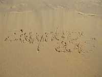 zakynthos-0621-gerakas-beach